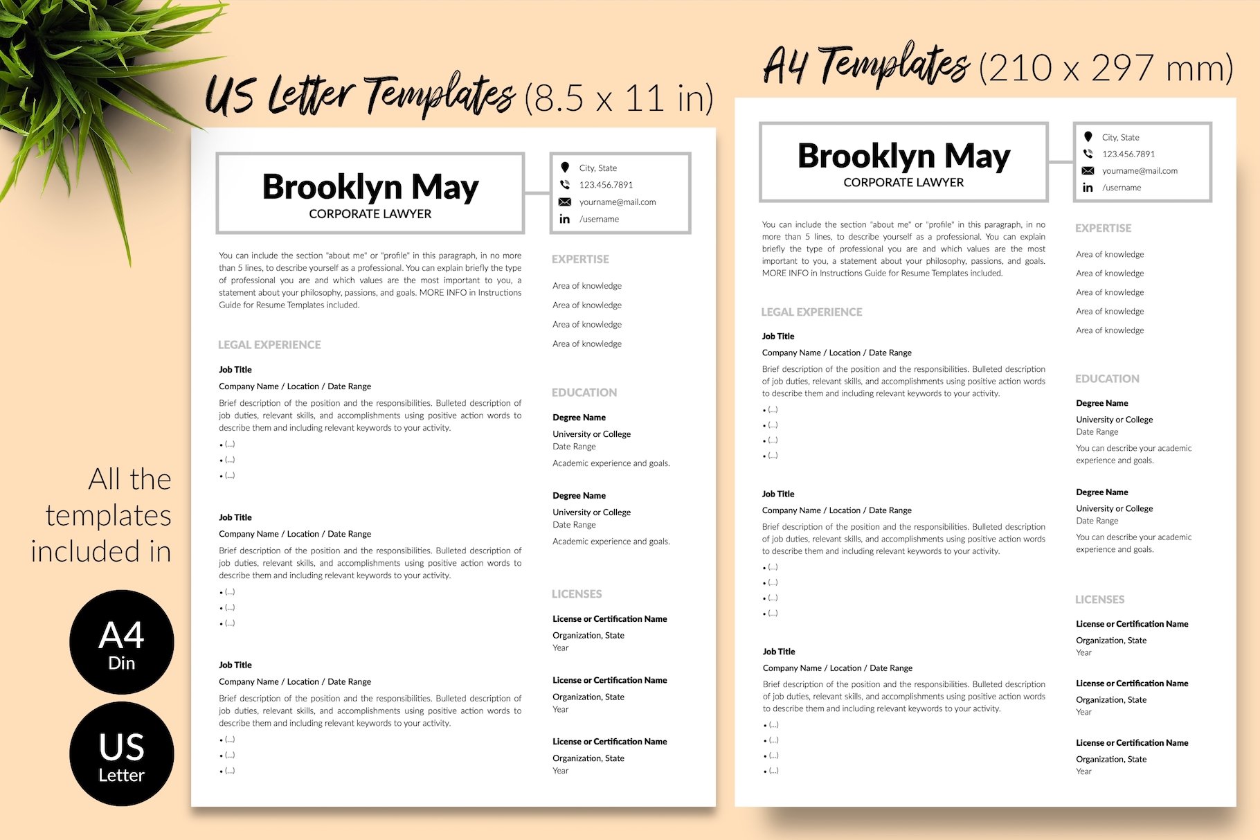 resume cv template brooklyn may for creative market 08 size din a4 us letter 717