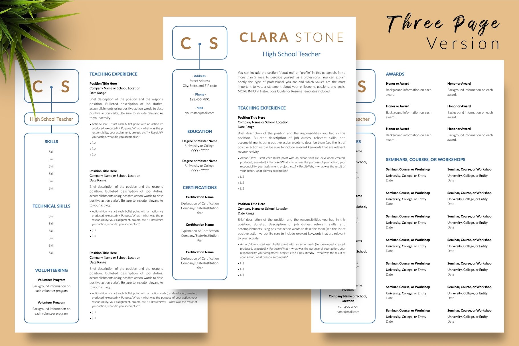 resume cv template clara stone for creative market 04 three page version 613