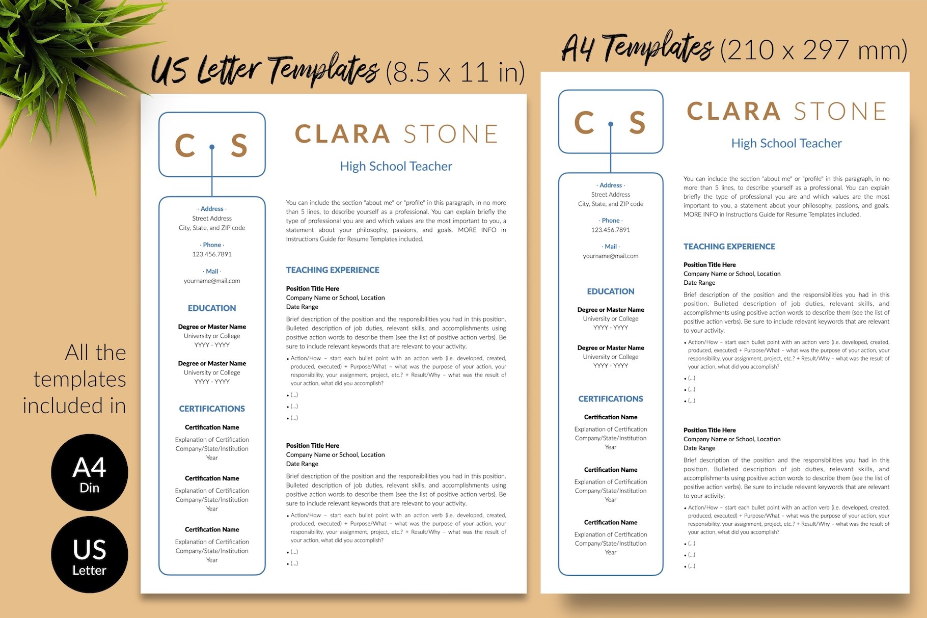 resume cv template clara stone for creative market 08 size din a4 us letter 986
