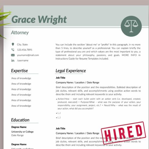 Attorney Resume Format / CV - Grace cover image.
