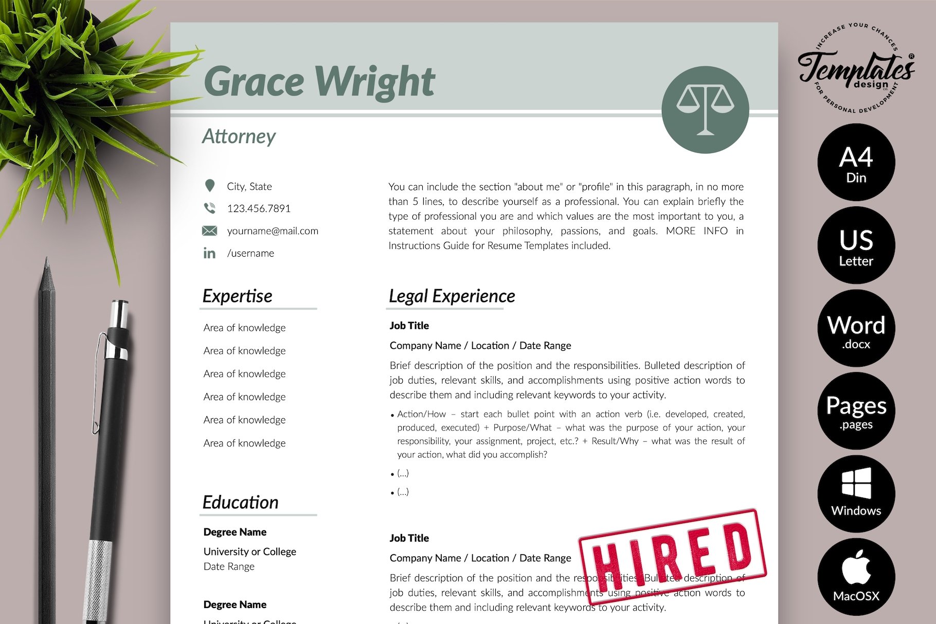 Attorney Resume Format / CV - Grace cover image.