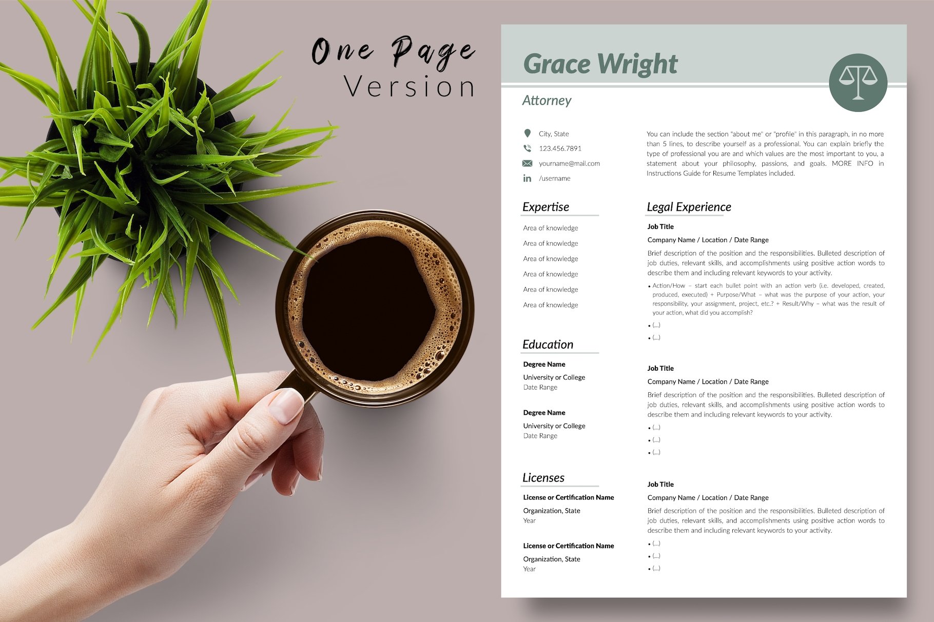 Attorney Resume Format / CV - Grace preview image.