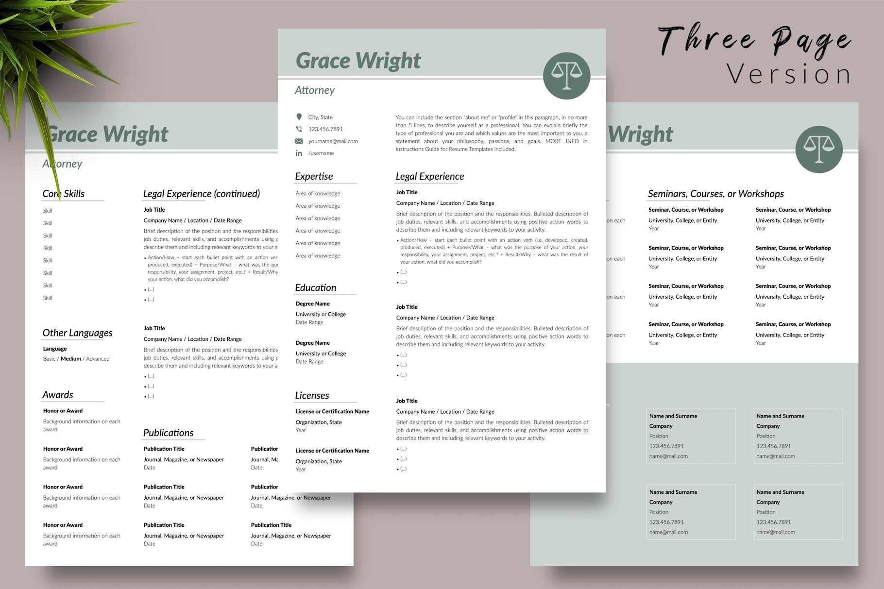 resume cv template grace wright for creative market 04 three page version 94