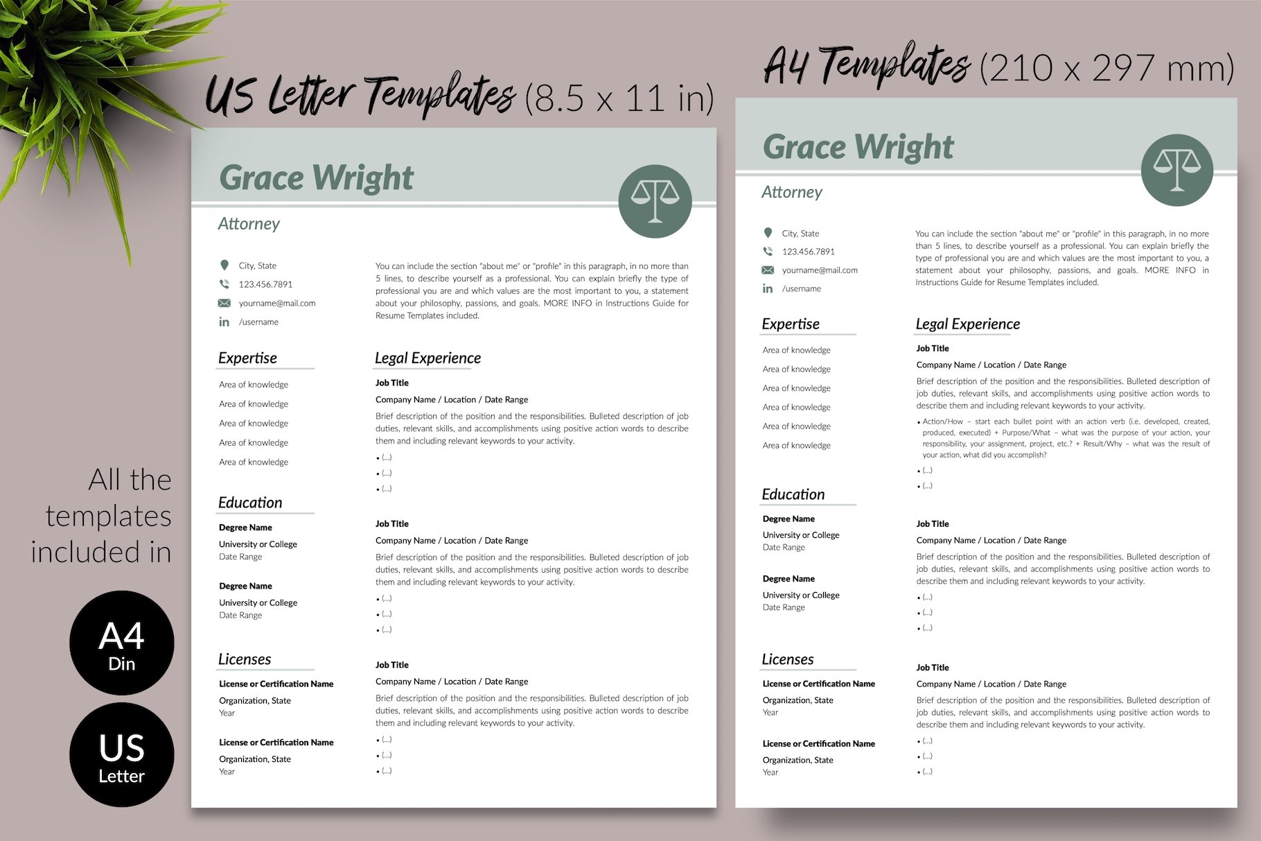 resume cv template grace wright for creative market 08 size din a4 us letter 981