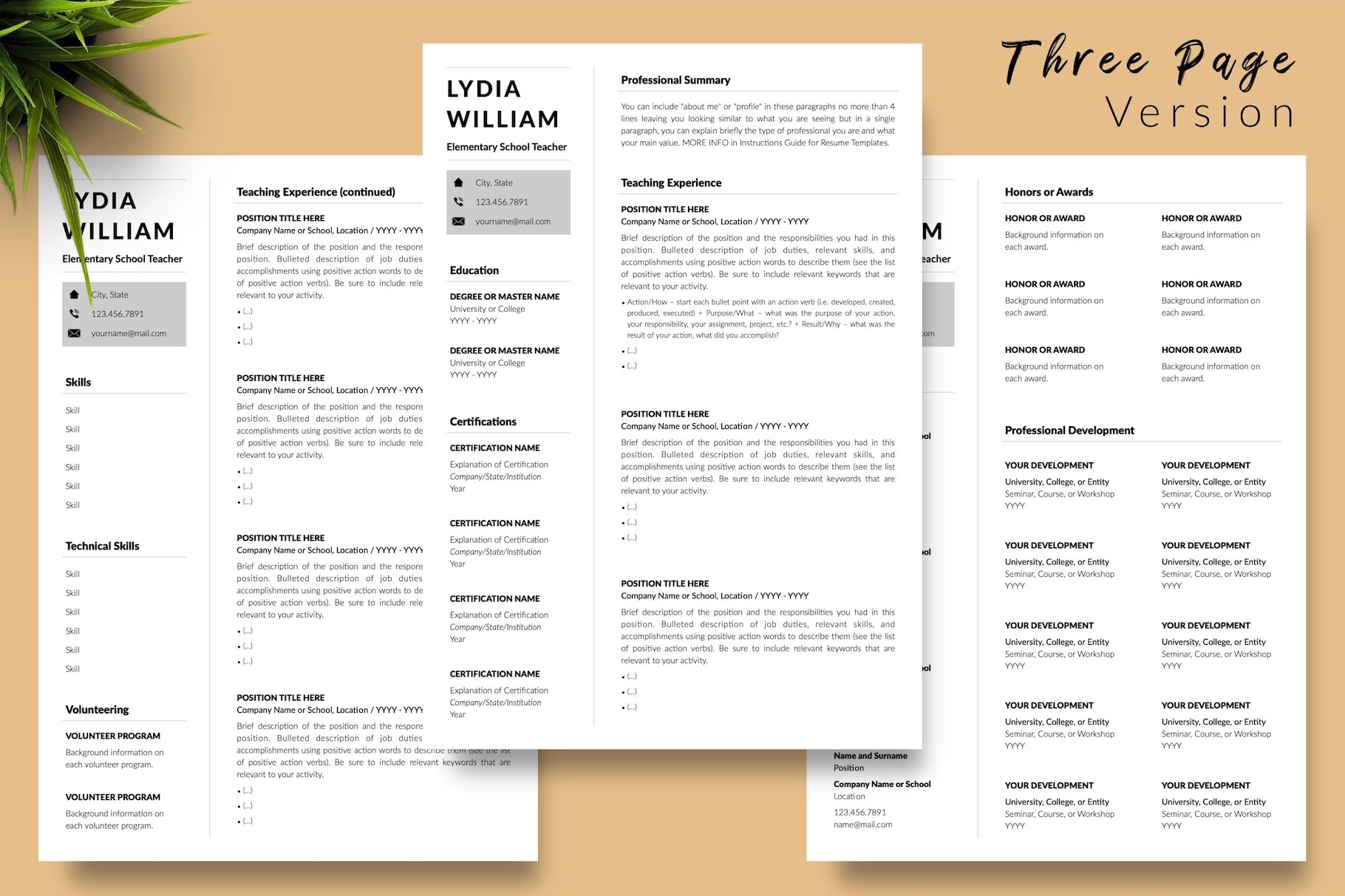resume cv template lydia william for creative market 04 three page version 528