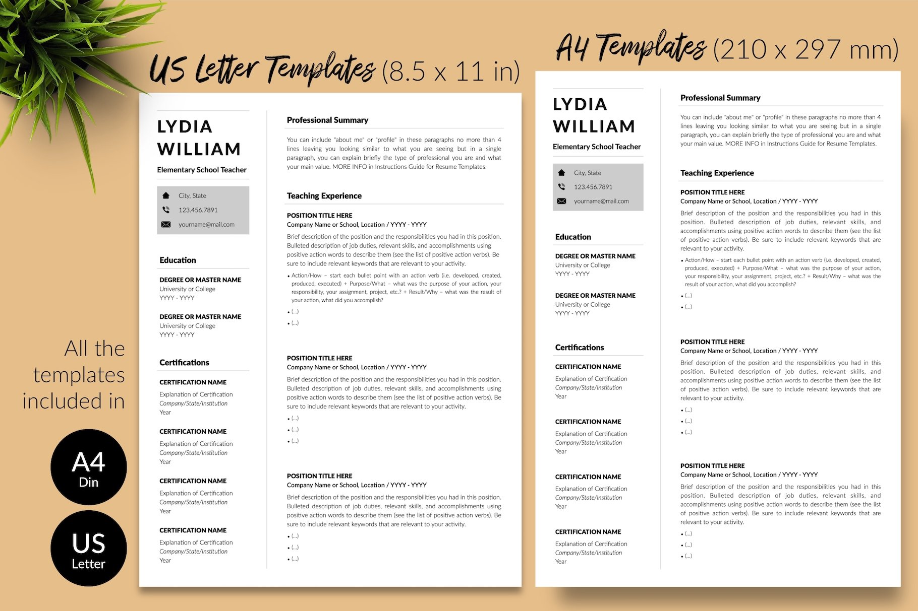 resume cv template lydia william for creative market 08 size din a4 us letter 542