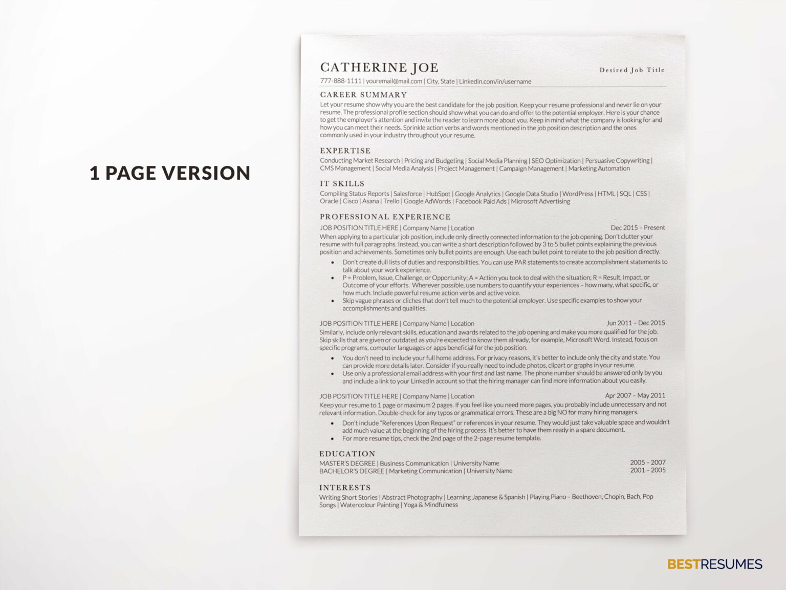 Resume Template for Apple Mac Pages MasterBundles