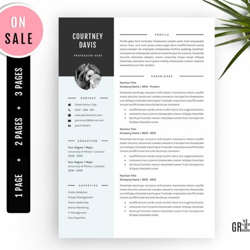 3 Pages Resume template CV Template cover image.