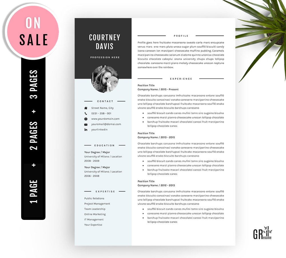 3 Pages Resume template CV Template cover image.