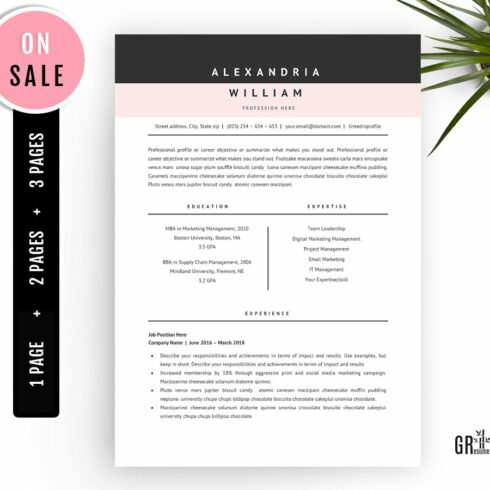 Professional Resume Template - Word cover image.
