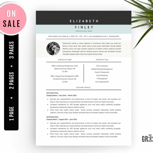 Professional Resume Template - 40 cover image.