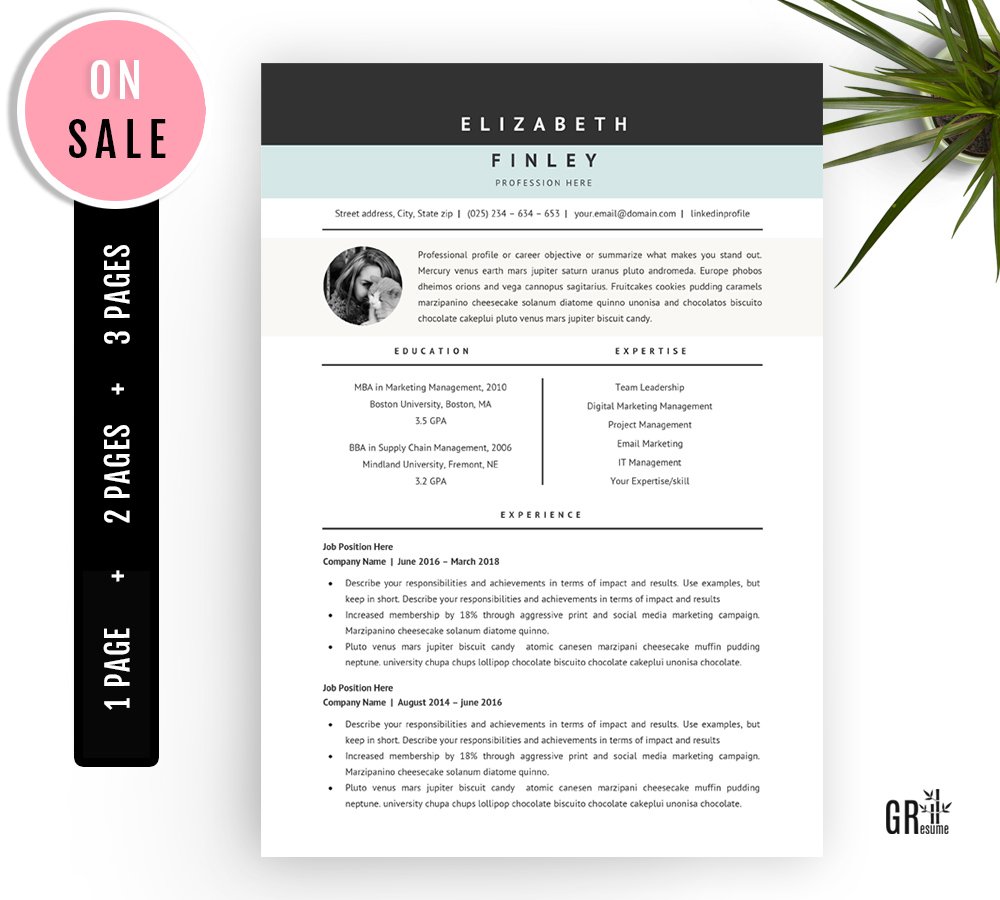 Professional Resume Template - 40 cover image.