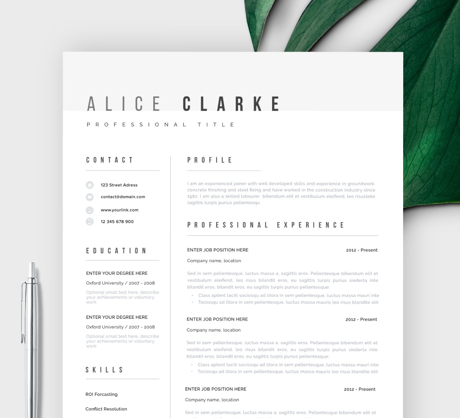 Professional Resume CV Template preview image.