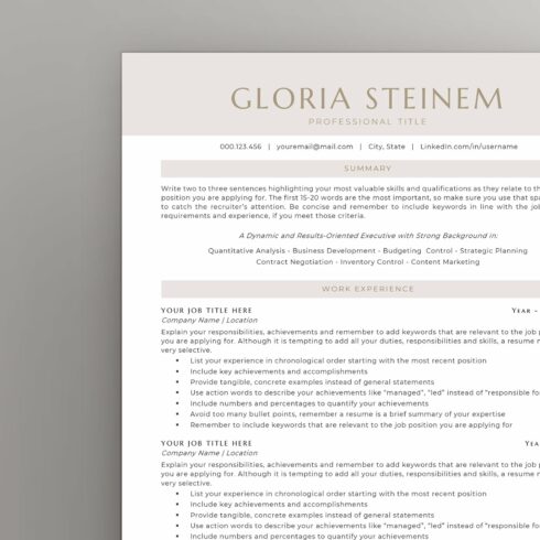 Professional resume template for a job.