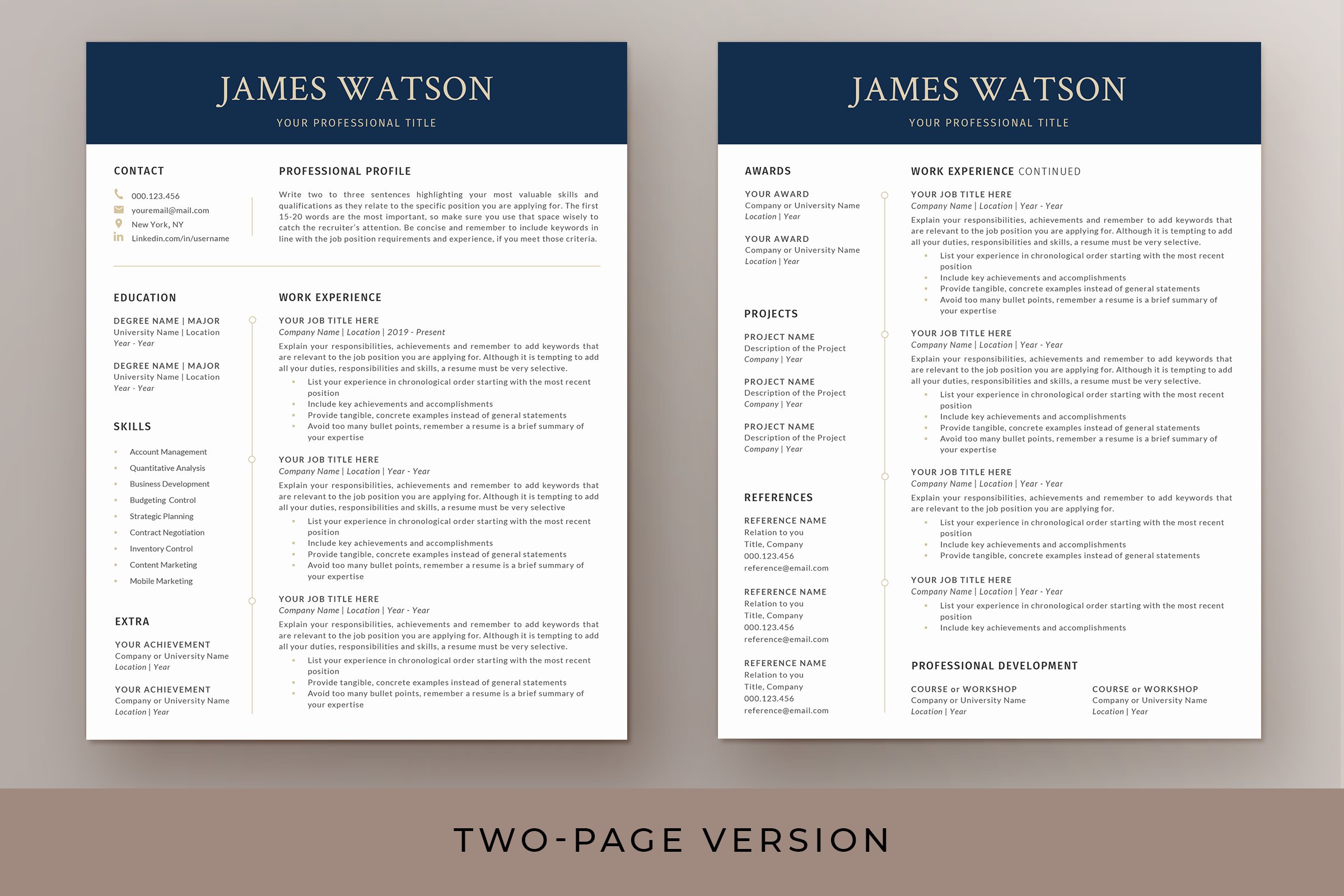 resume template page 3 208