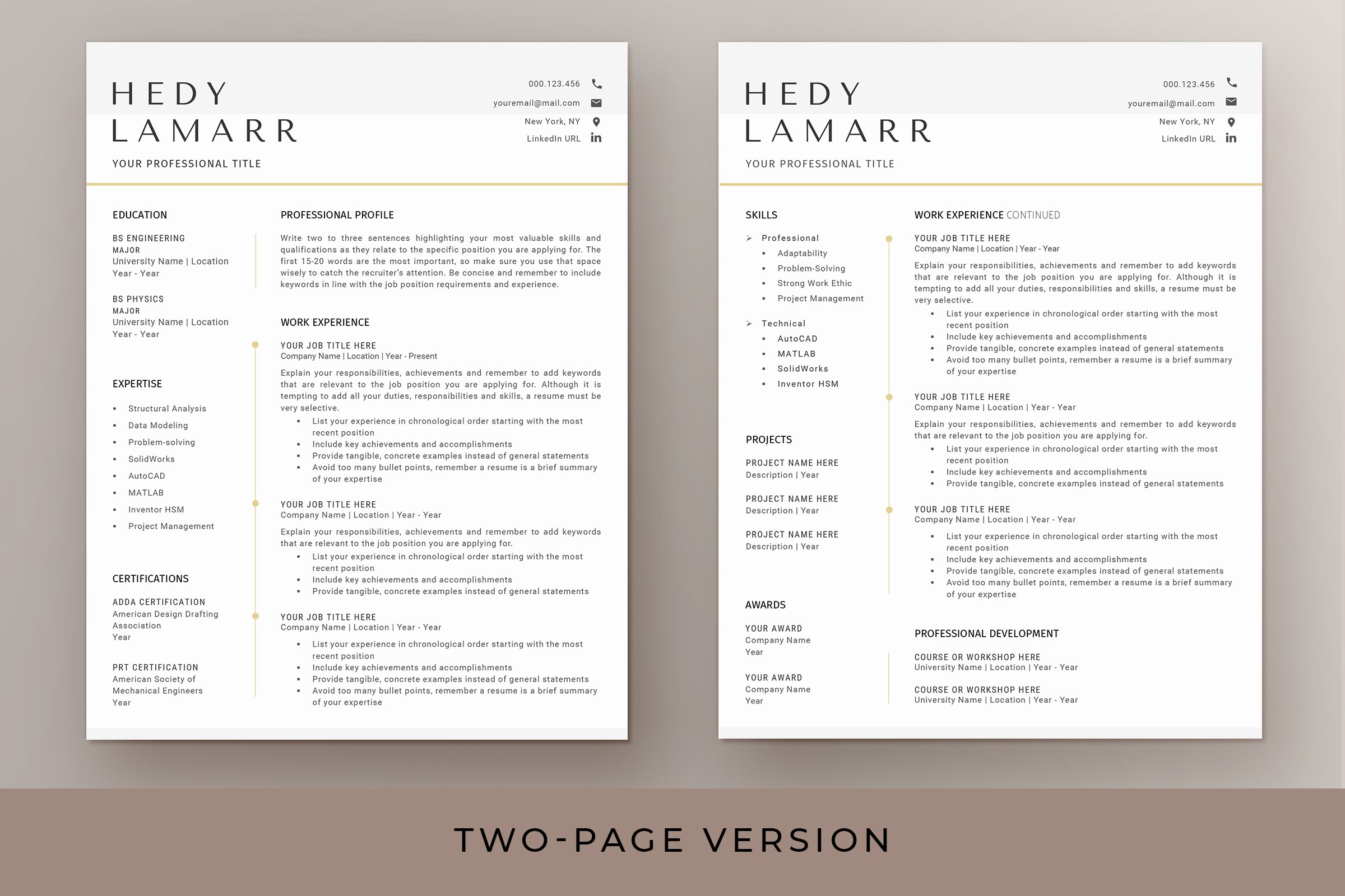 resume template page 3 229