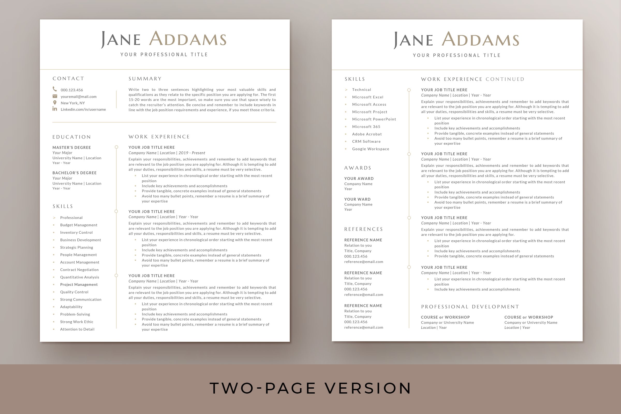 resume template page 3 33