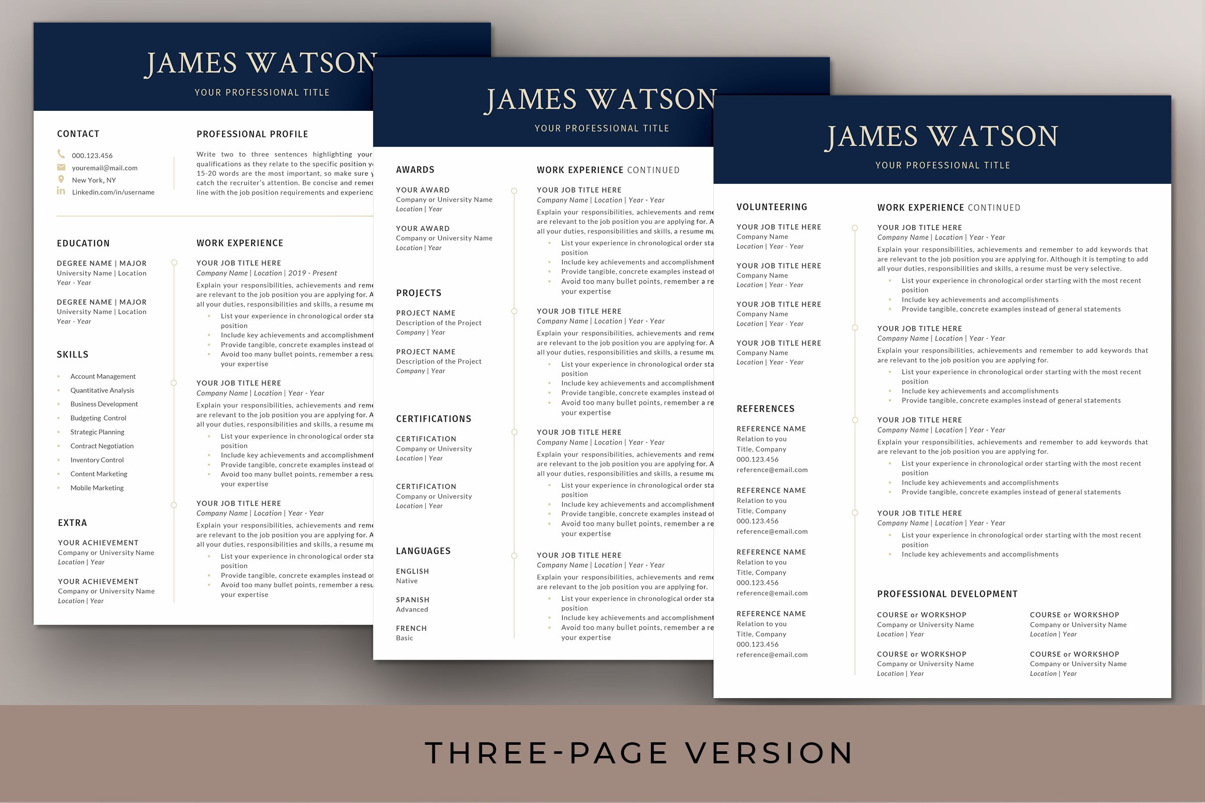 resume template page 4 557