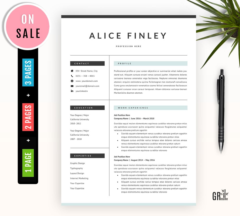 Professional Resume Template - 41 preview image.