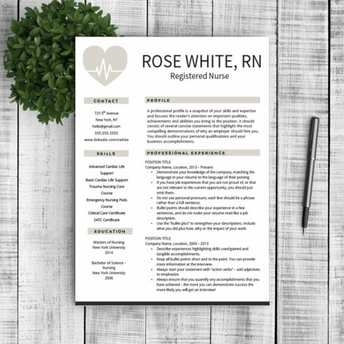 Resume & Cover Letter - Rose cover image.