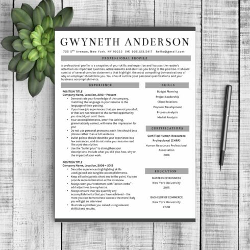 Professional Resume Template "Grey" cover image.