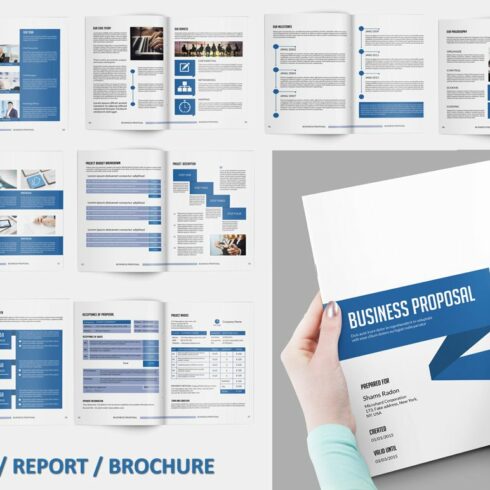 Business Proposal - V118 cover image.