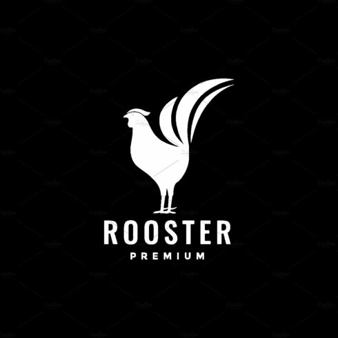 modern minimal white rooster logo cover image.