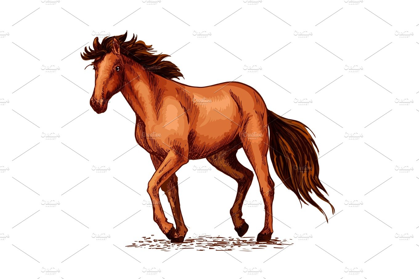 Horse sketch of brown mustang stallion cover image.