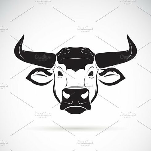 Vector of a bull head design. Animal cover image.