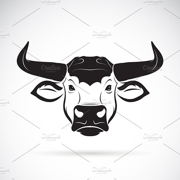 Vector of a bull head design. Animal cover image.