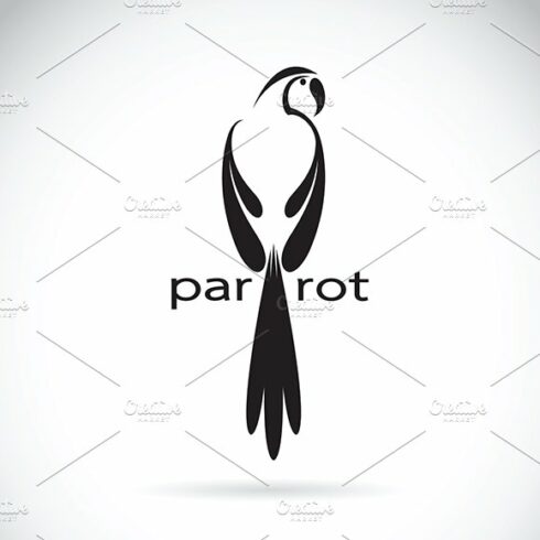 Vector of a parrot design. cover image.
