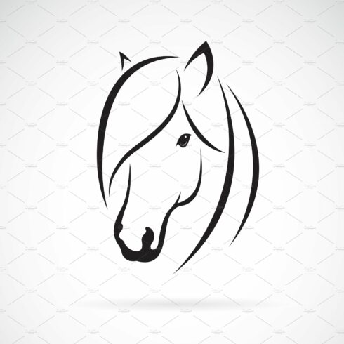 Vector of horse head design. Animal. cover image.