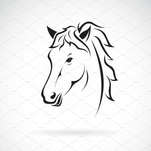 Vector of horse head design. Animal. cover image.