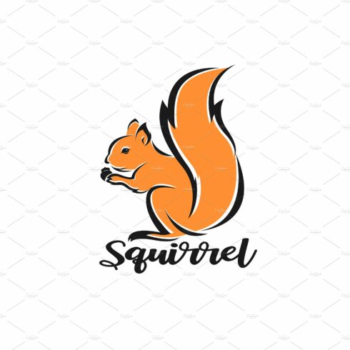 Vector of squirrel design. Animals. cover image.