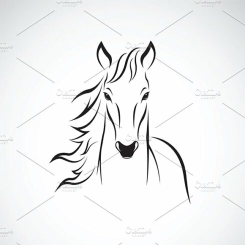 Vector of a horse. Wild Animals. cover image.