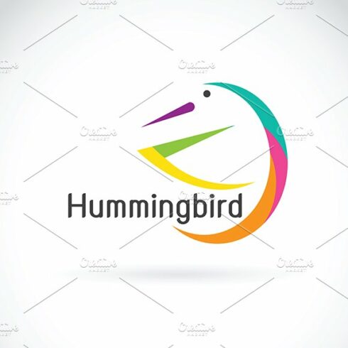 Vector of humming bird design. Logo cover image.