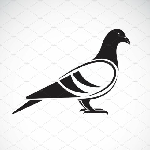 Vector of a pigeon design. Animal. cover image.
