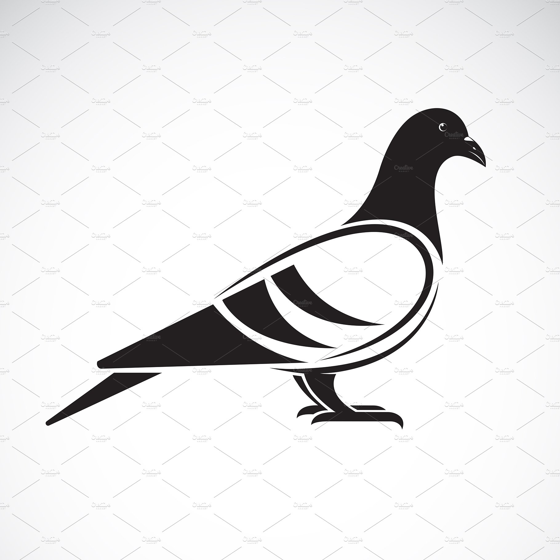 A little pigeon sketch | johnvharris