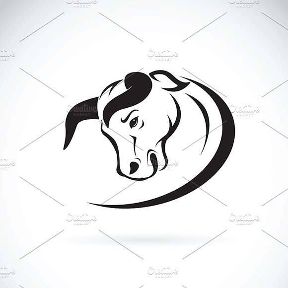 Vector of a bull head design. cover image.