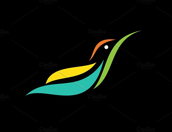 Vector image of an humming bird cover image.