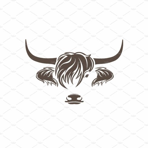 Vector of highland cow head design. cover image.