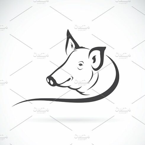 Vector of a pig logo. cover image.