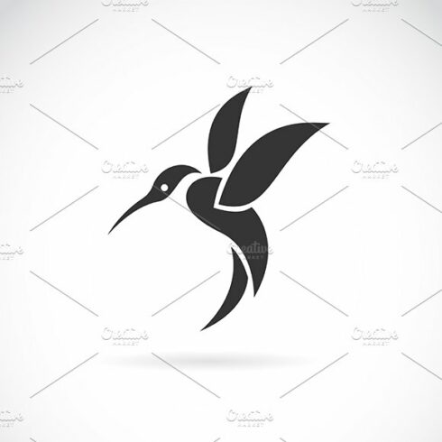 Vector of hummingbird. Animals. Bird cover image.