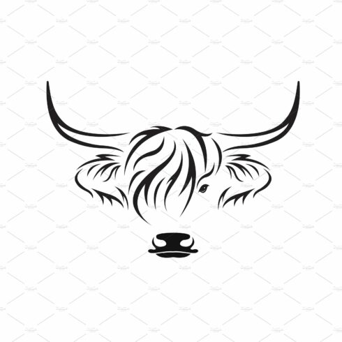 Vector of highland cow head design. cover image.