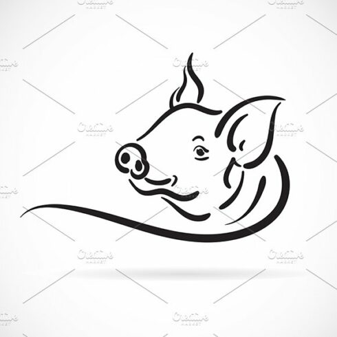 Vector of a pig logo. cover image.