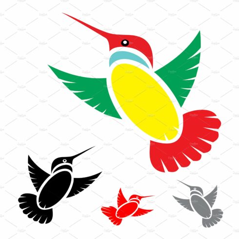 Vector of humming bird design. cover image.