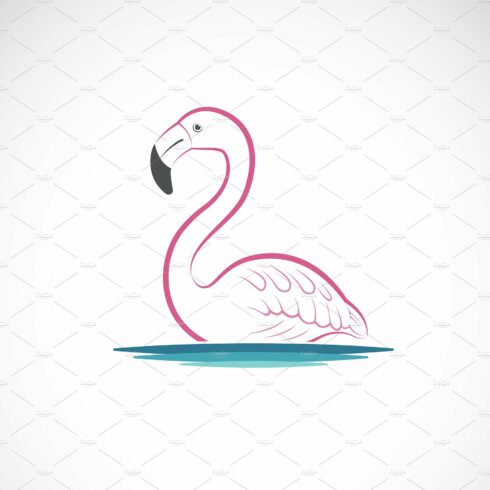 Vector of flamingo design. Birds. cover image.