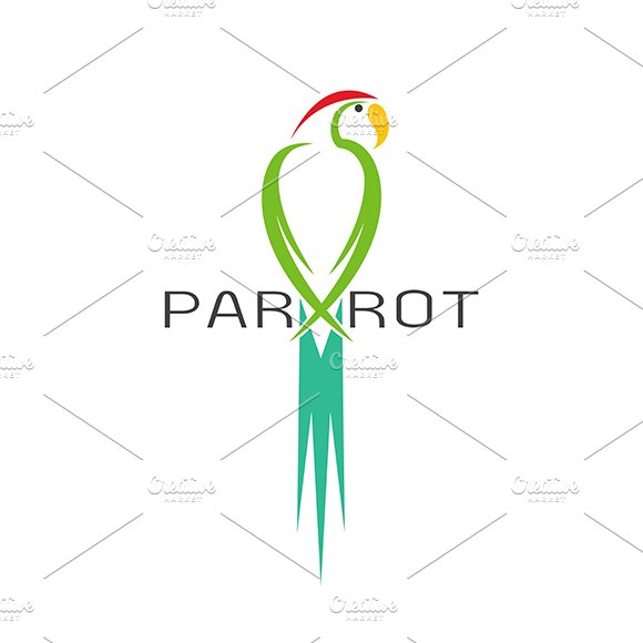 Vector of a parrot design. cover image.