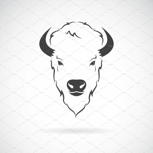 Vector of a buffalo head design. cover image.