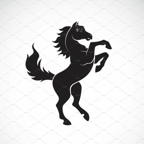 Vector of skittish horse design. cover image.